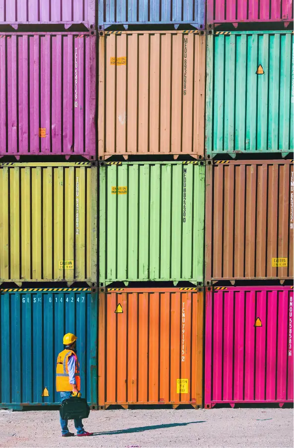 développement commercial logistique LogiDév Solutions